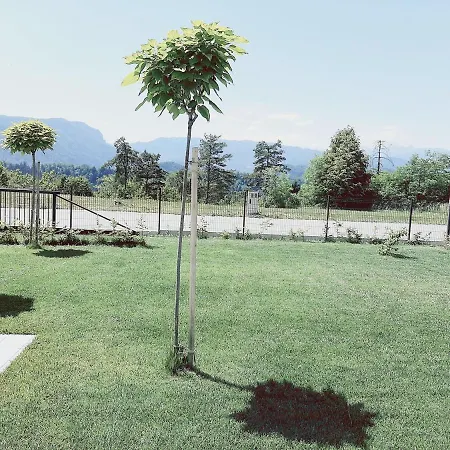 Bee Apartment Lesce (Upper Carniola)