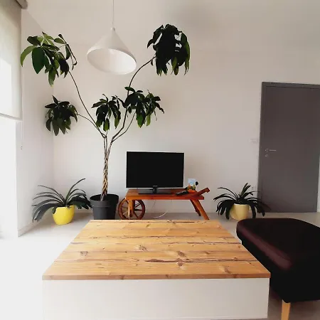 Bee Apartment *
